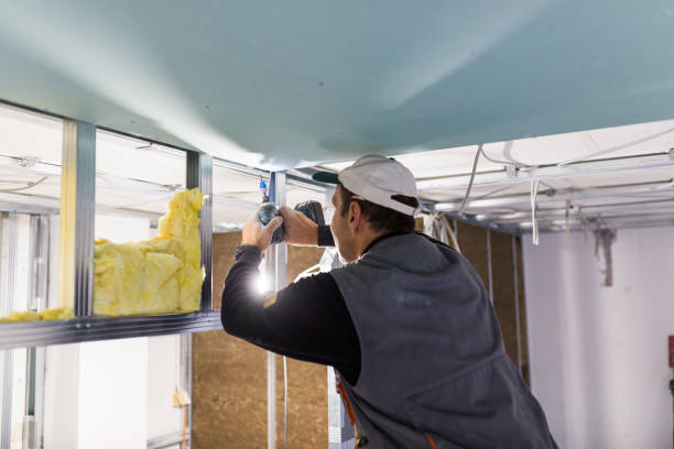 Best Professional Insulation Contractor  in Sinking Spring, PA