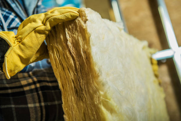 Best Professional Insulation Contractor  in Sinking Spring, PA