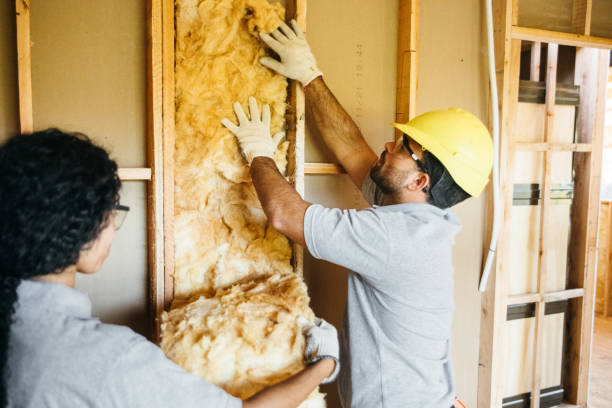 Best Crawl Space Insulation  in Sinking Spring, PA