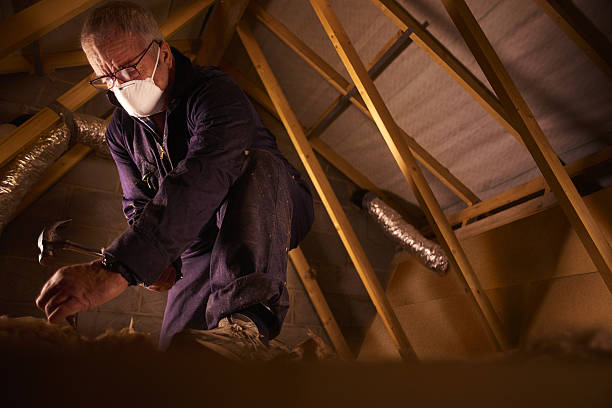Best Wall Insulation Contractor  in Sinking Spring, PA